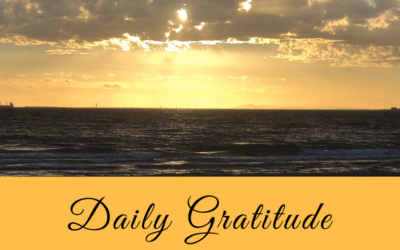 Daily Gratitude 2.11