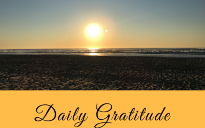 Daily Gratitude 9.11