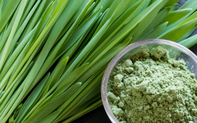 Health Benefits of Barley Grass